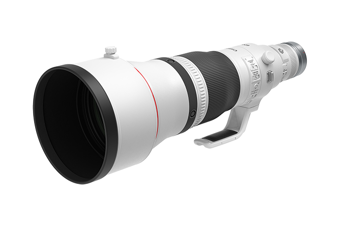 Canon RF 600mm f/4 L IS USM Lens