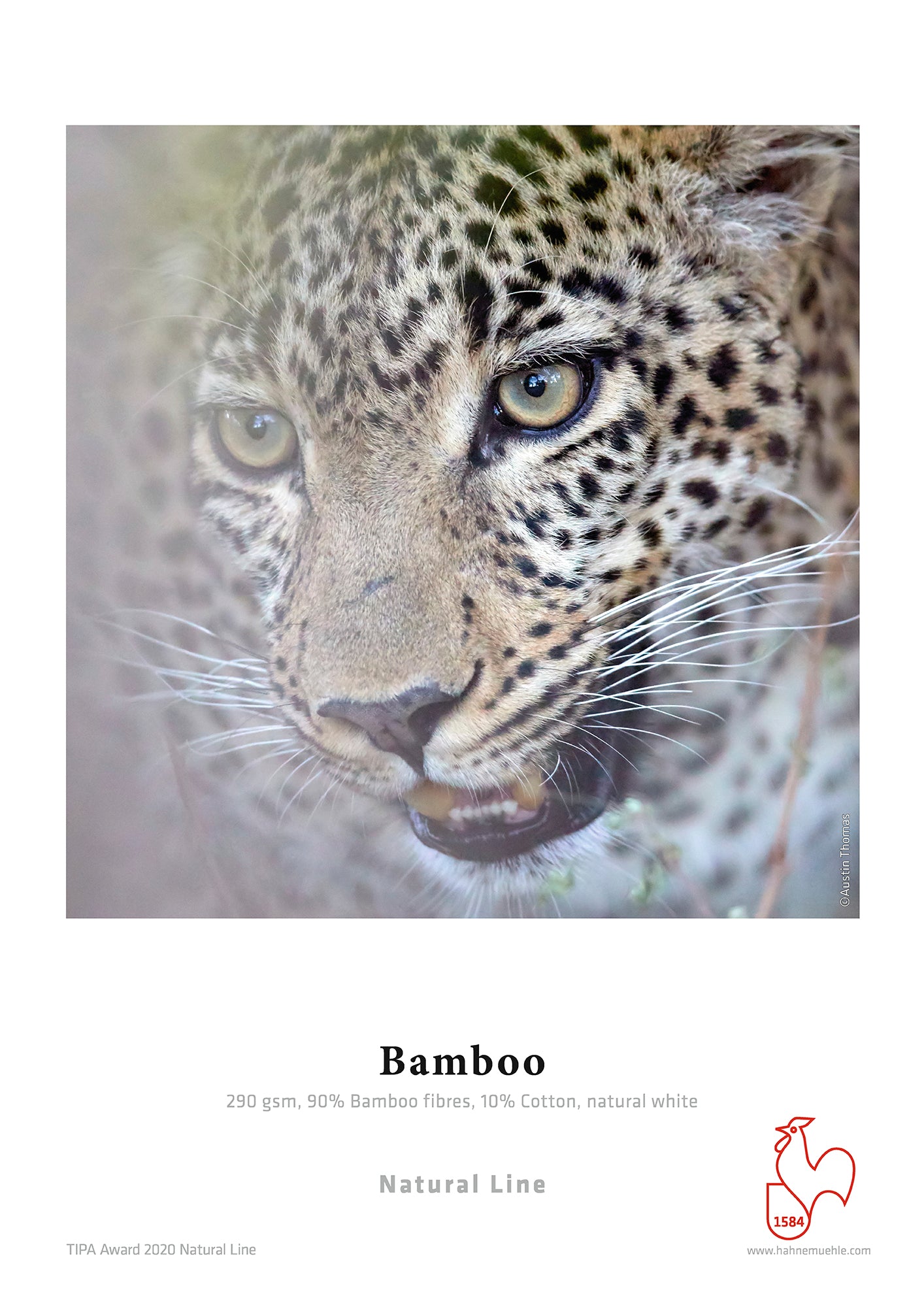 Hahnemuhle FineArt Bamboo 290