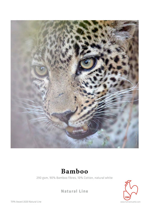 Hahnemuhle FineArt Bamboo 290