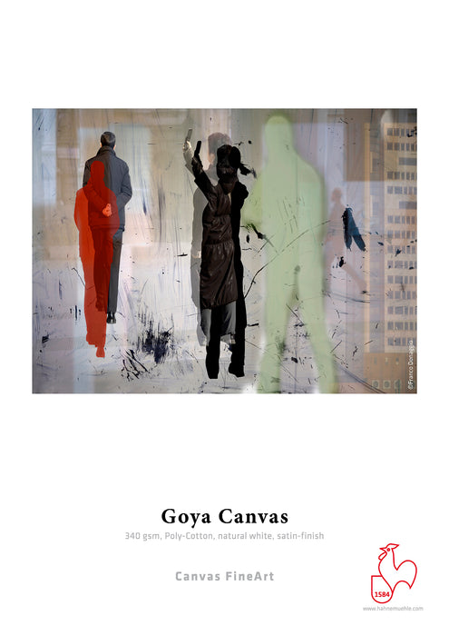 Hahnemühle FineArt Goya Canvas 24"x39' Roll