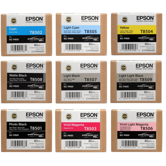 Epson P800 UltraChrome Ink Cartridge 80ml